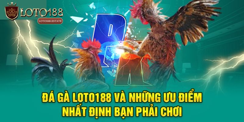 Tại sao nên lựa chọn trải nghiệm Đá gà Loto188?