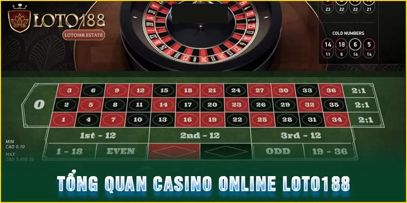 Giới thiệu live casino Loto188
